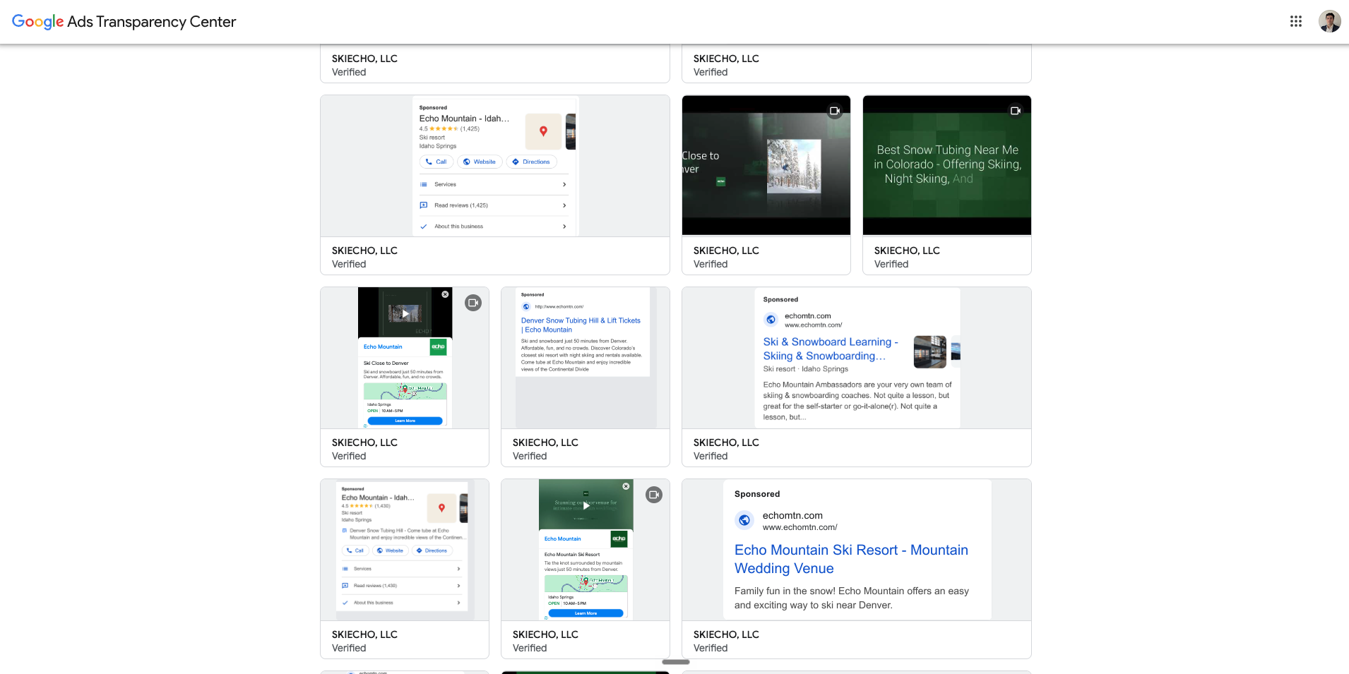 Echo Mountain active ads in the Google Ads Transparency Center